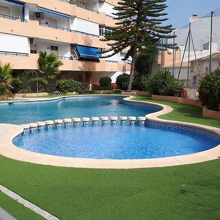 Apartament Flamingo Z Basenem 托雷维耶哈 外观 照片