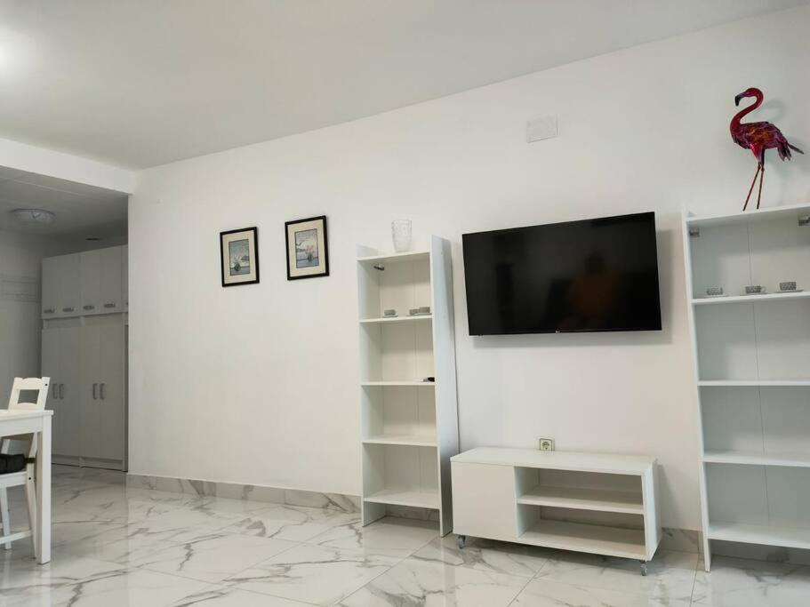 Apartament Flamingo Z Basenem 托雷维耶哈 外观 照片