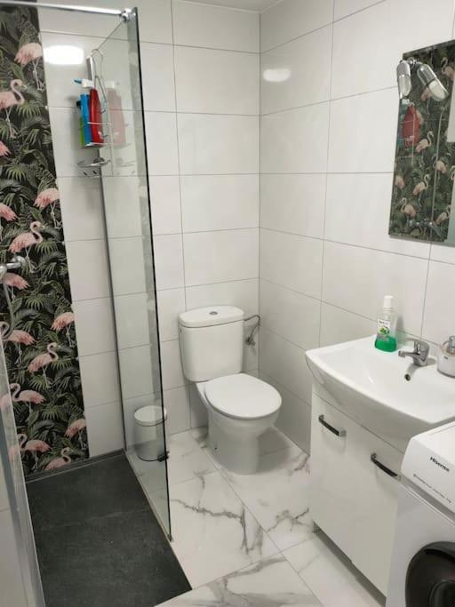 Apartament Flamingo Z Basenem 托雷维耶哈 外观 照片