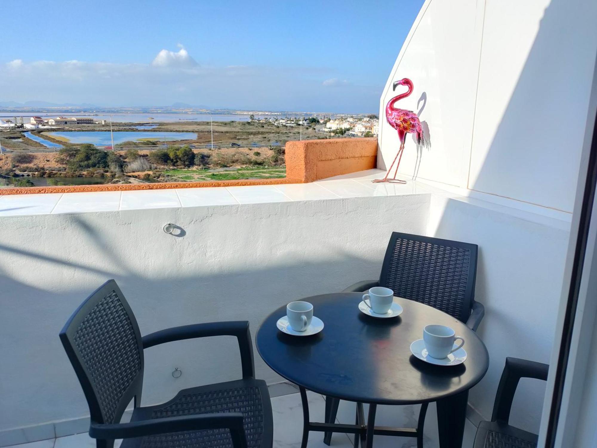 Apartament Flamingo Z Basenem 托雷维耶哈 外观 照片